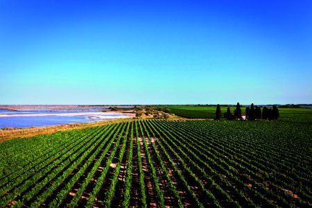 Δαμάζοντας την άμμο