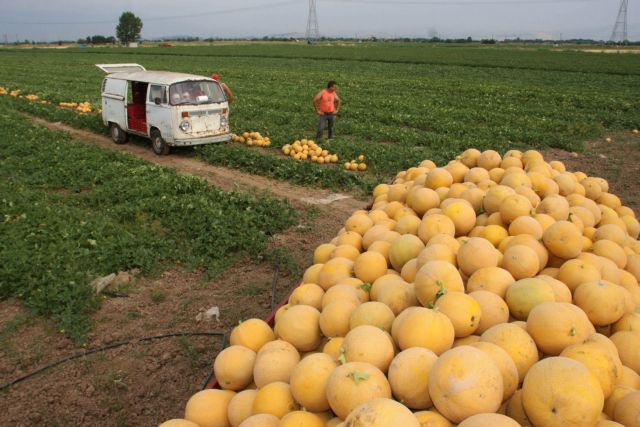Εξασφαλίστηκε η έγκαιρη καταβολή των αγροτικών επιδοτήσεων
