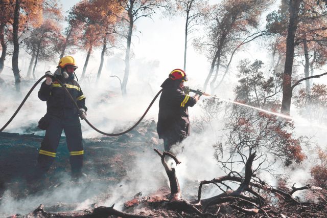 Ερώτηση στη Βουλή από ΔΗΜΑΡ για εθελοντές πυροσβέστες | tovima.gr