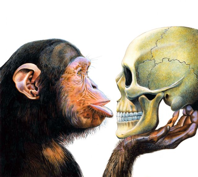 Γιατί είμαστε τόσο διαφορετικοί από τους χιμπαντζήδες;