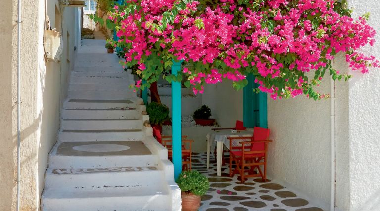 Φυσικές πέργκολες | tovima.gr