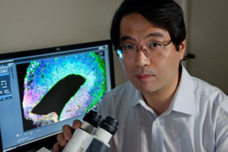 Αυτοκτόνησε ερευνητής των «εύκολων» βλαστοκυττάρων