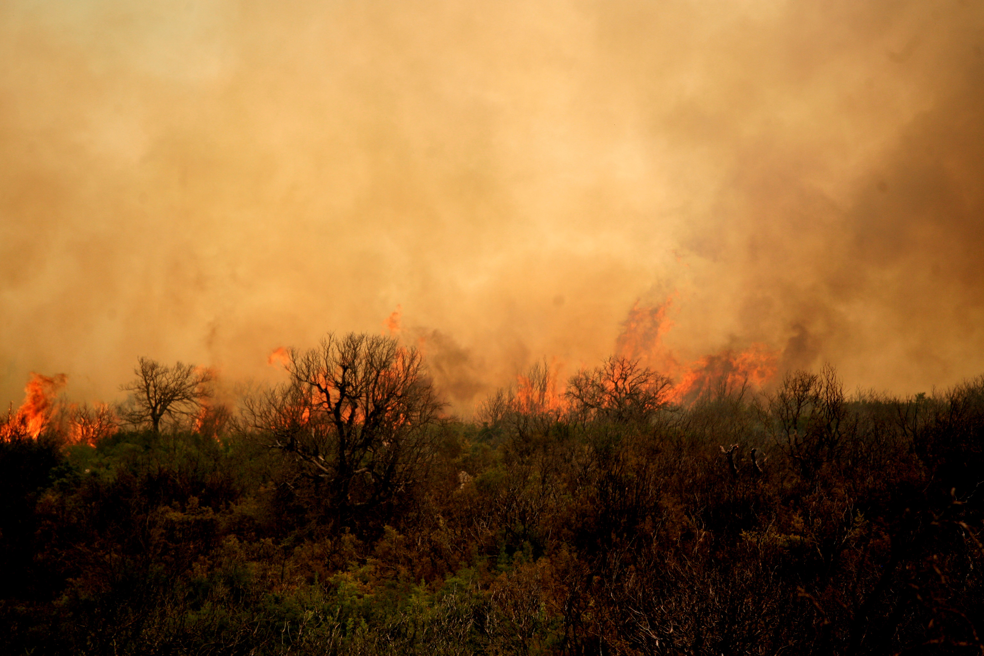 Μάχη με τις φλόγες στο Αγιον Ορος – Σε εξέλιξη το μέτωπο της Φθιώτιδας