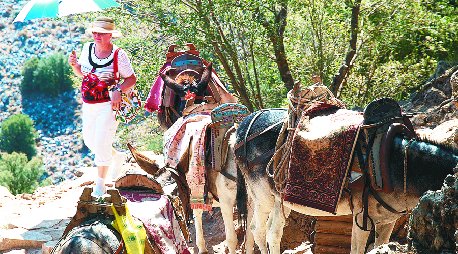 Λασίθι: Χορός ανεμόμυλων, λόφων και Ιστορίας