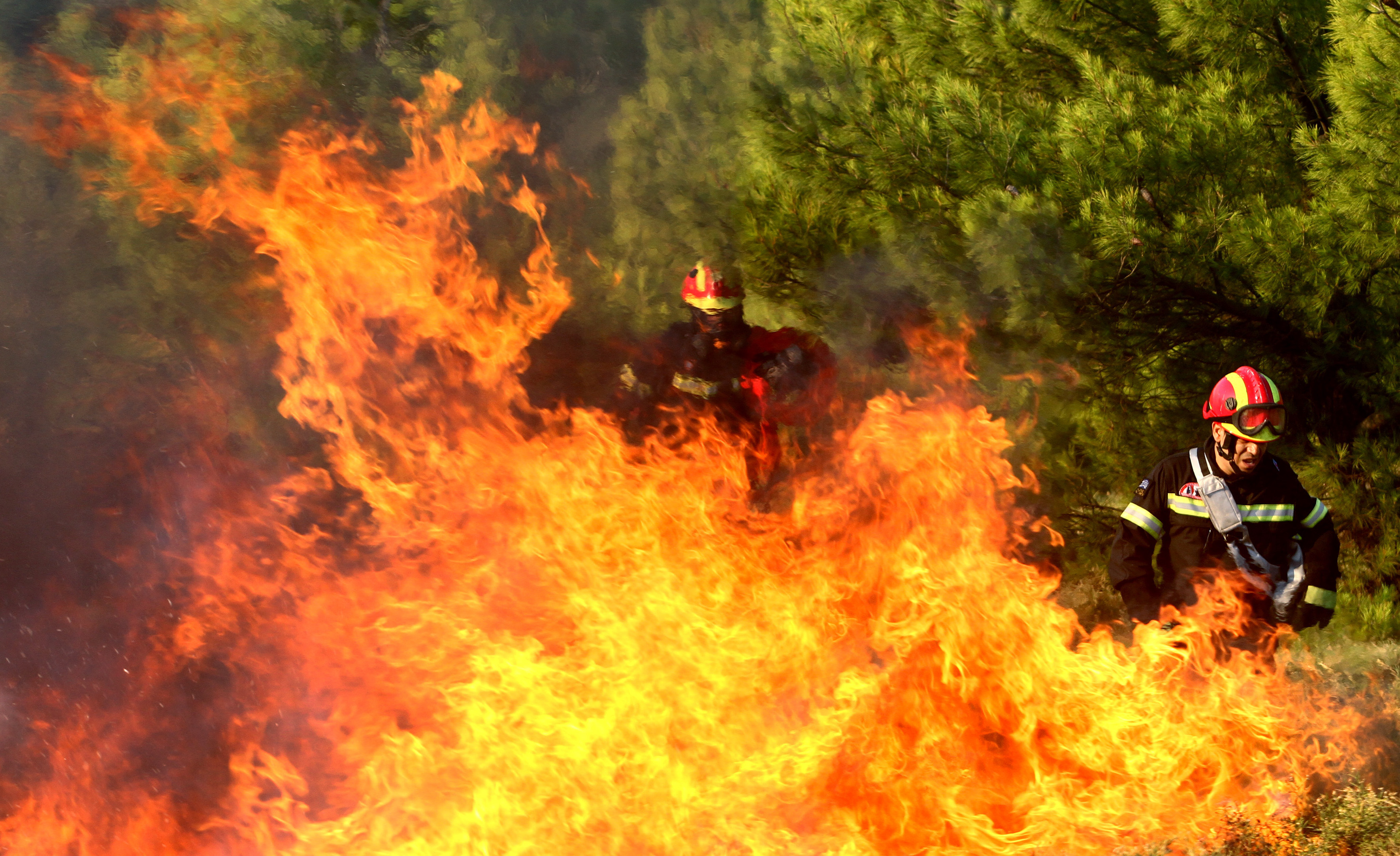 Υπό έλεγχο η πυρκαγιά στην Φθιώτιδα – Πύρινα μέτωπα σε Μεσσηνία και Σέρρες