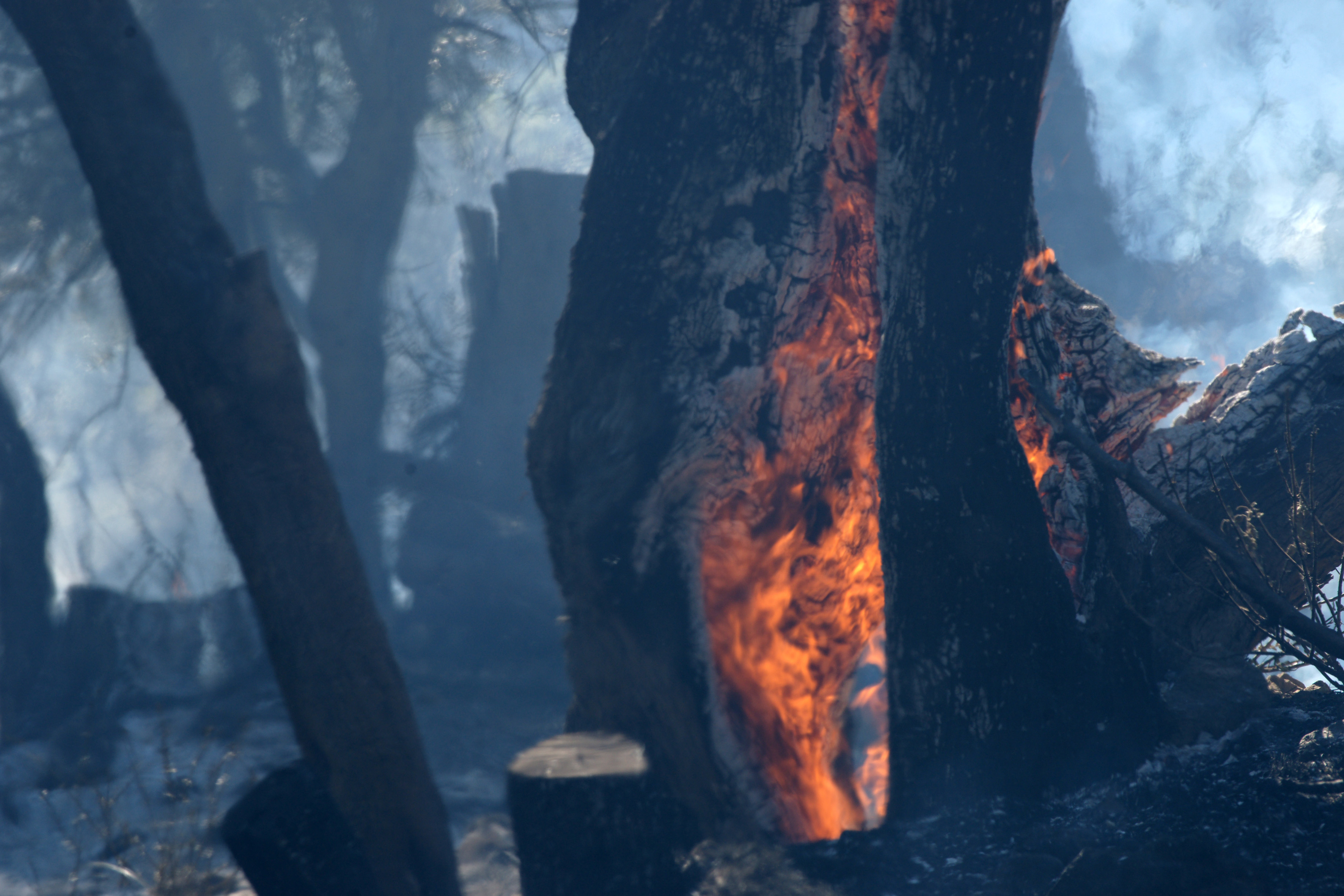 Πυρκαγιά σε εξέλιξη στα βόρεια της Πάτρας