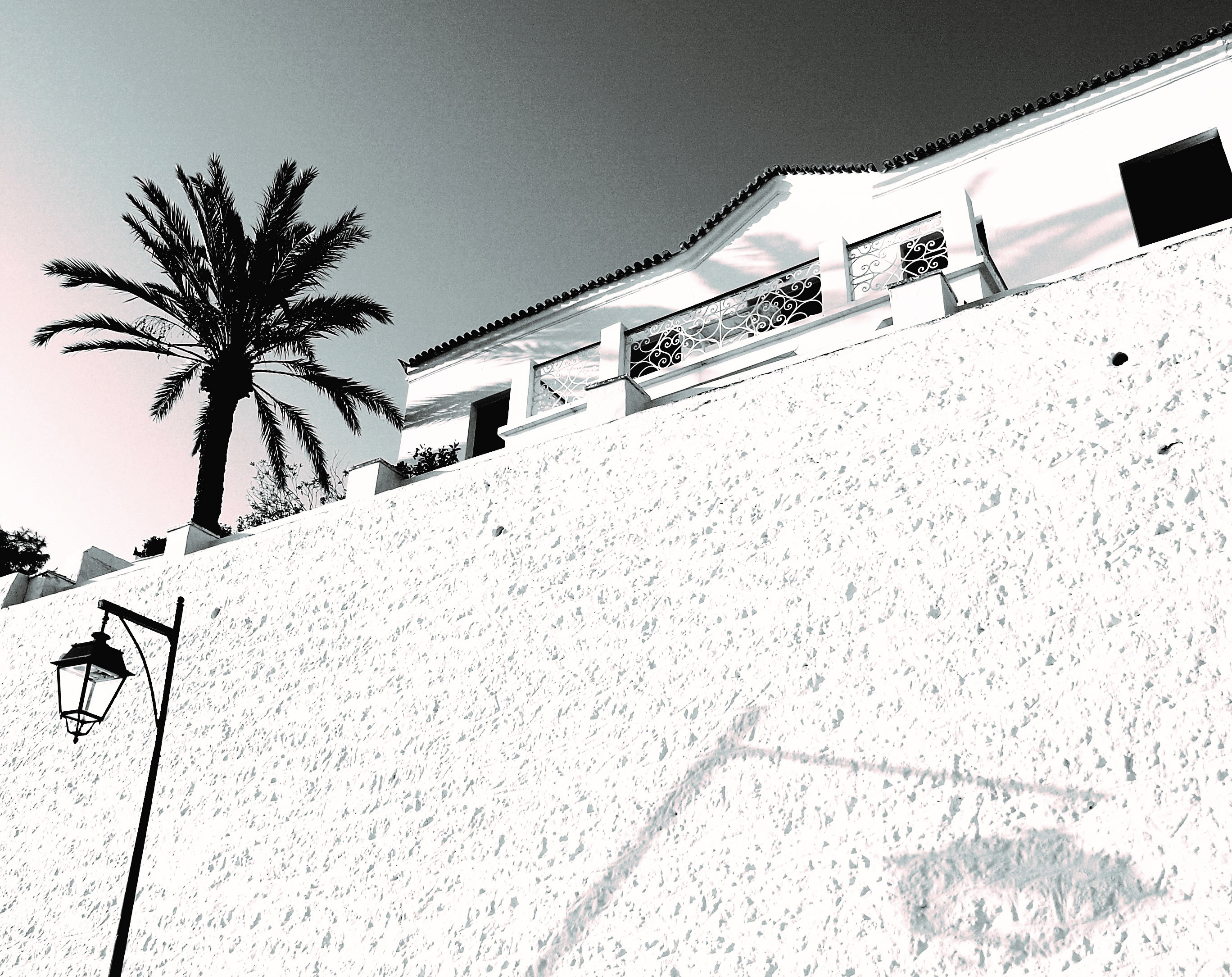 Ιχνογραφώντας τον μύθο