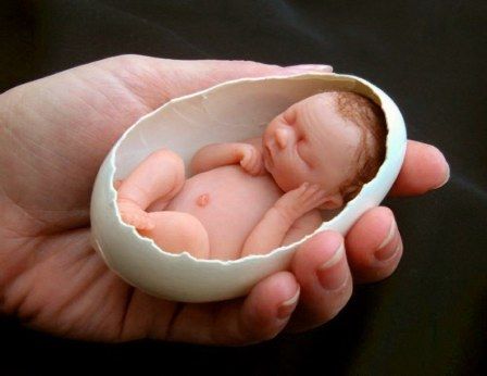 «Ασπίδα» για το μωρό τα αβγά που τρώει η μητέρα