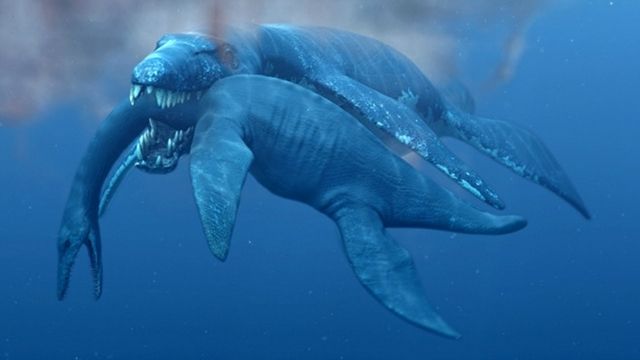 O Τ. rex των θαλασσών | tovima.gr