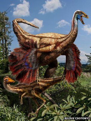 Τα φτερά των δεινοσαύρων αναπτύχθηκαν για… φλερτάρισμα