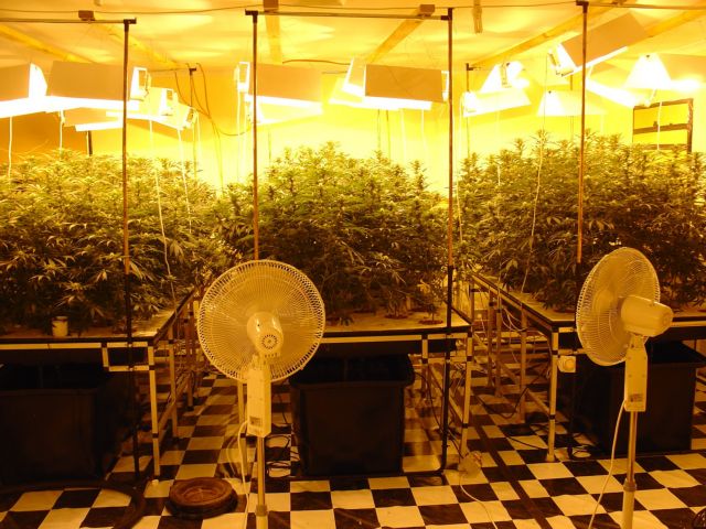 Η ελληνική πανσέληνος της κάνναβης