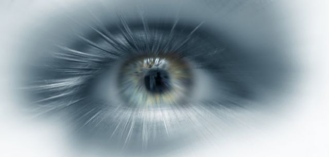 Η όραση αναπτύχθηκε πριν από 700 εκατ. χρόνια