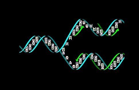 Είμαστε ένα DNA-παζλ