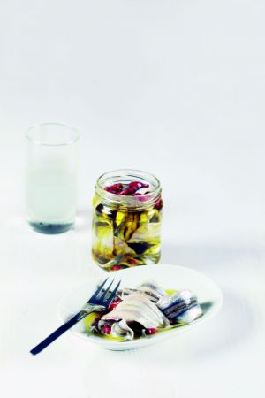 Γαύρος μαρινάτος