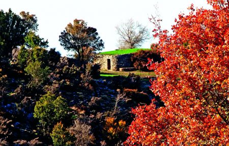 Το πνεύμα του Ομαλού
