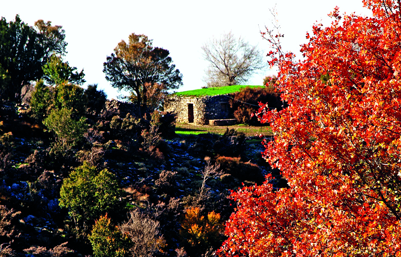 Το πνεύμα του Ομαλού