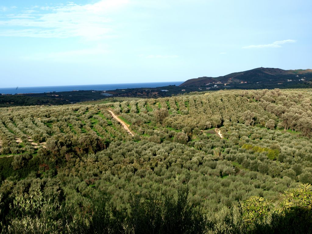 Στα ενδότερα της Ρεθύμνης