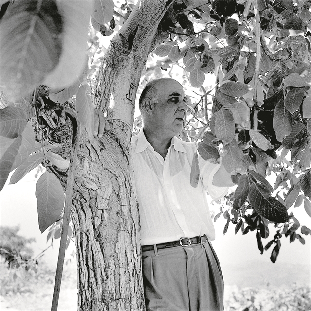 Η διαρκής επικαιρότητα του Σεφέρη