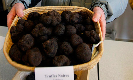 Χωροφύλακες προστατεύουν τις πολύτιμες μαύρες τρούφες στη Γαλλία