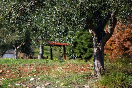 Με τη δύναμη της φύσης