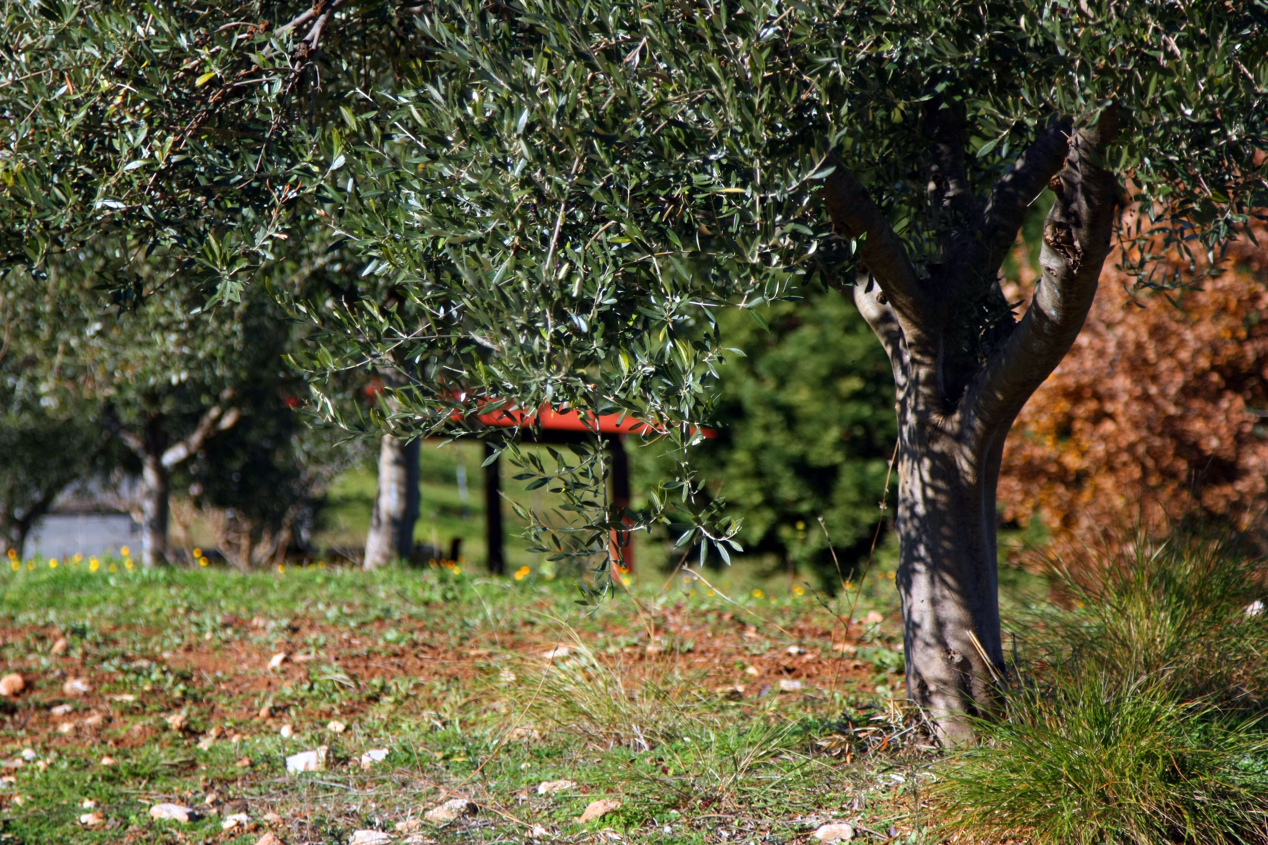 Με τη δύναμη της φύσης
