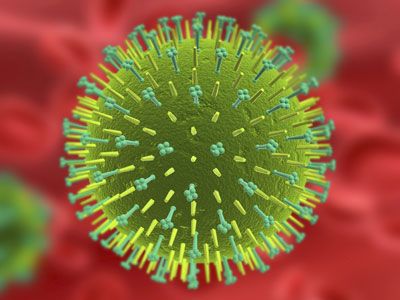 Ο ιός της γρίπης διαθέτει… ξυπνητήρι