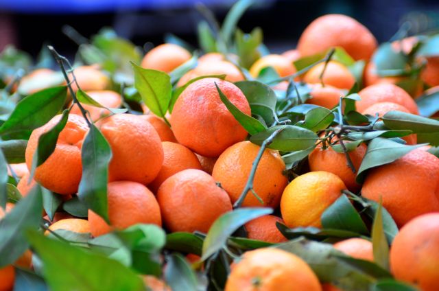 Παλλήνη: Δωρεάν μανταρίνια και πορτοκάλια σε ευάλωτες ομάδες