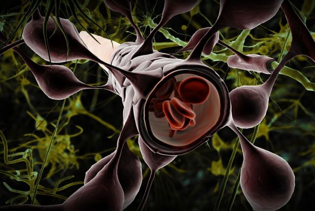 Υποσχόμενη θεραπεία για νευρολογικές νόσους