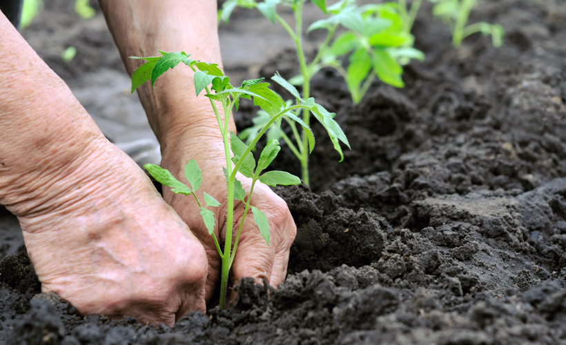 Ράιχενμπαχ: Ατού της ελληνικής οικονομίας τα προϊόντα με «ταυτότητα»