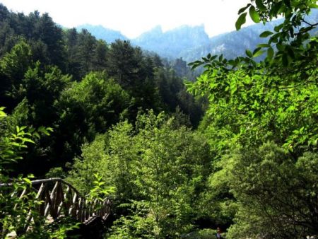 «Μετεξεταστέα» η Ελλάδα στην εφαρμογή νομοθεσίας προστασίας της φύσης