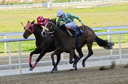 Στον ΟΠΑΠ και επίσημα το ιπποδρομιακό στοίχημα