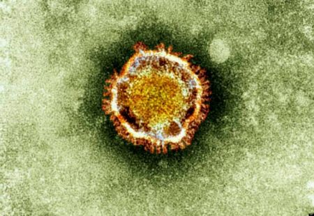 Second case of MERS coronavirus reported in Greece