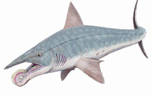 Προϊστορικός εξάδελφος του καρχαρία είχε στόμα δισκοπρίονο