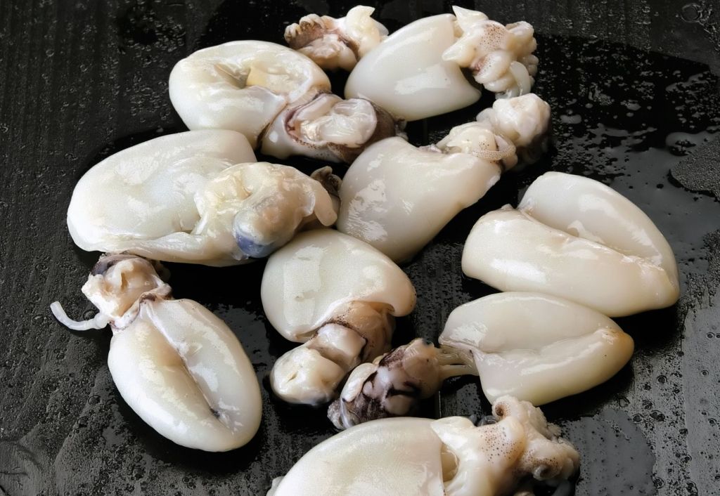 Της εποχής: Κεφαλόποδα