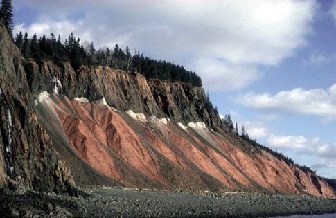 Ποιός άνοιξε το δρόμο στους δεινόσαυρους;