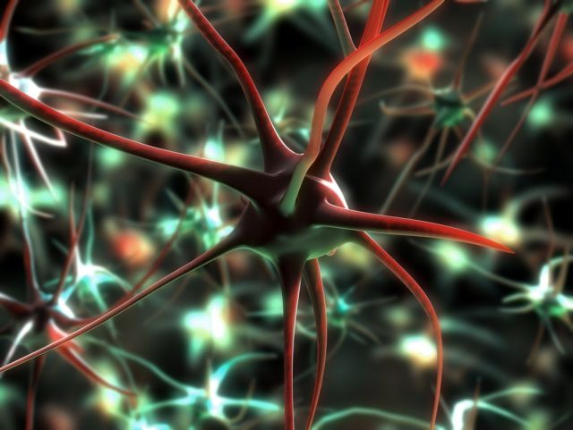 Δημιούργησαν νευρώνες απευθείας μέσα στον εγκέφαλο
