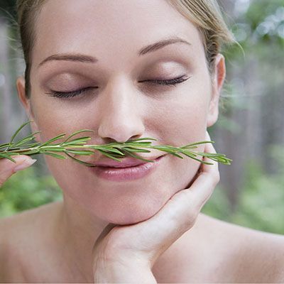 Δικαιώνεται ο Σαίξπηρ! Το δεντρολίβανο ενισχύει τη μνήμη