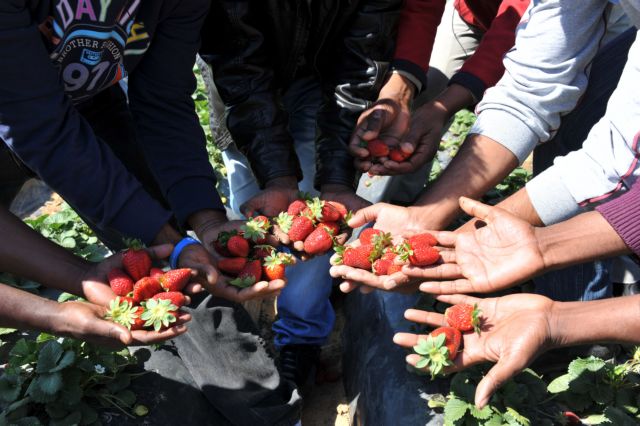 Καταδίκη της Ελλάδας από το ΕΔΑΔ για τη ντροπή της Μανωλάδας