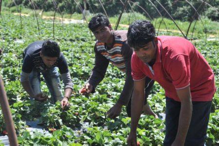 Migrants in Marathon complain of racist attack by former employer