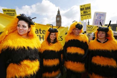 Σταφύλια, μανταρίνια, κεράσια και σέλερι με… εντομοκτόνα