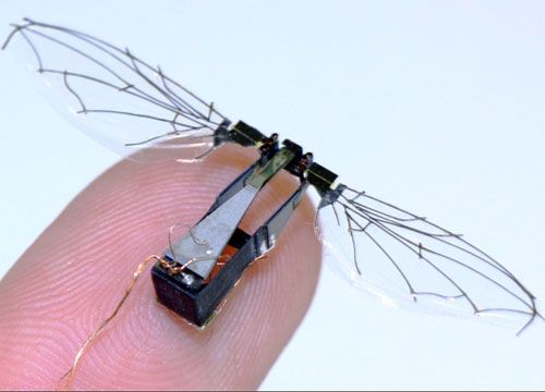 Ρομπότ-μύγα κατασκεύασαν αμερικανοί επιστήμονες