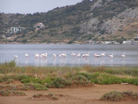Περιφερειακό πάρκο χαμένο στη γραφειοκρατία