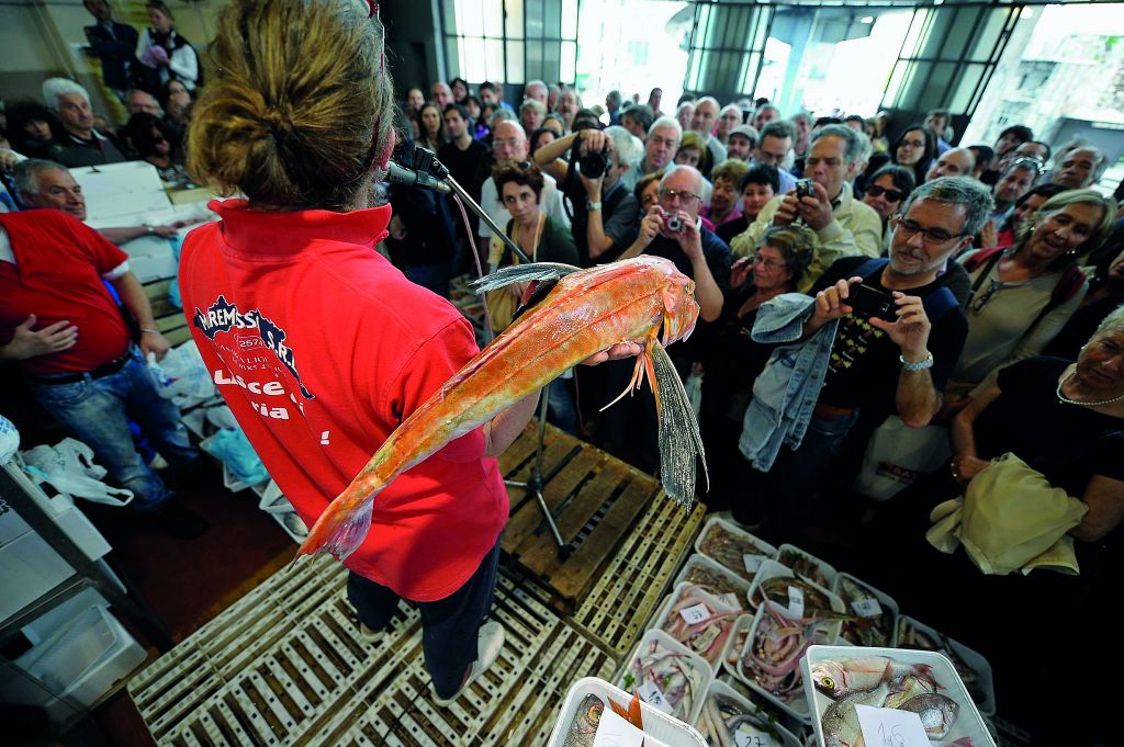 Ψάρια, μα ποια ψάρια;