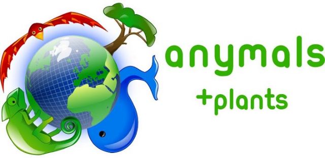 Χλωρίδα και πανίδα σε μεγάλο κίνδυνο