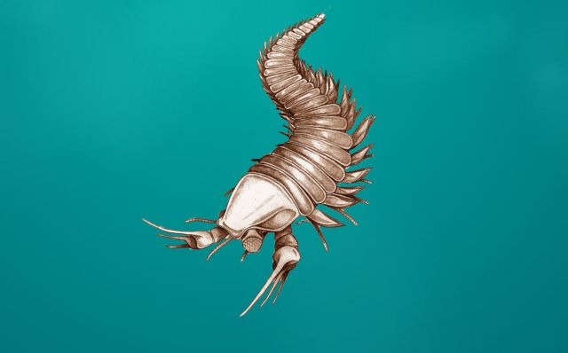 Ο «ψαλιδοχέρης» των απολιθωμάτων