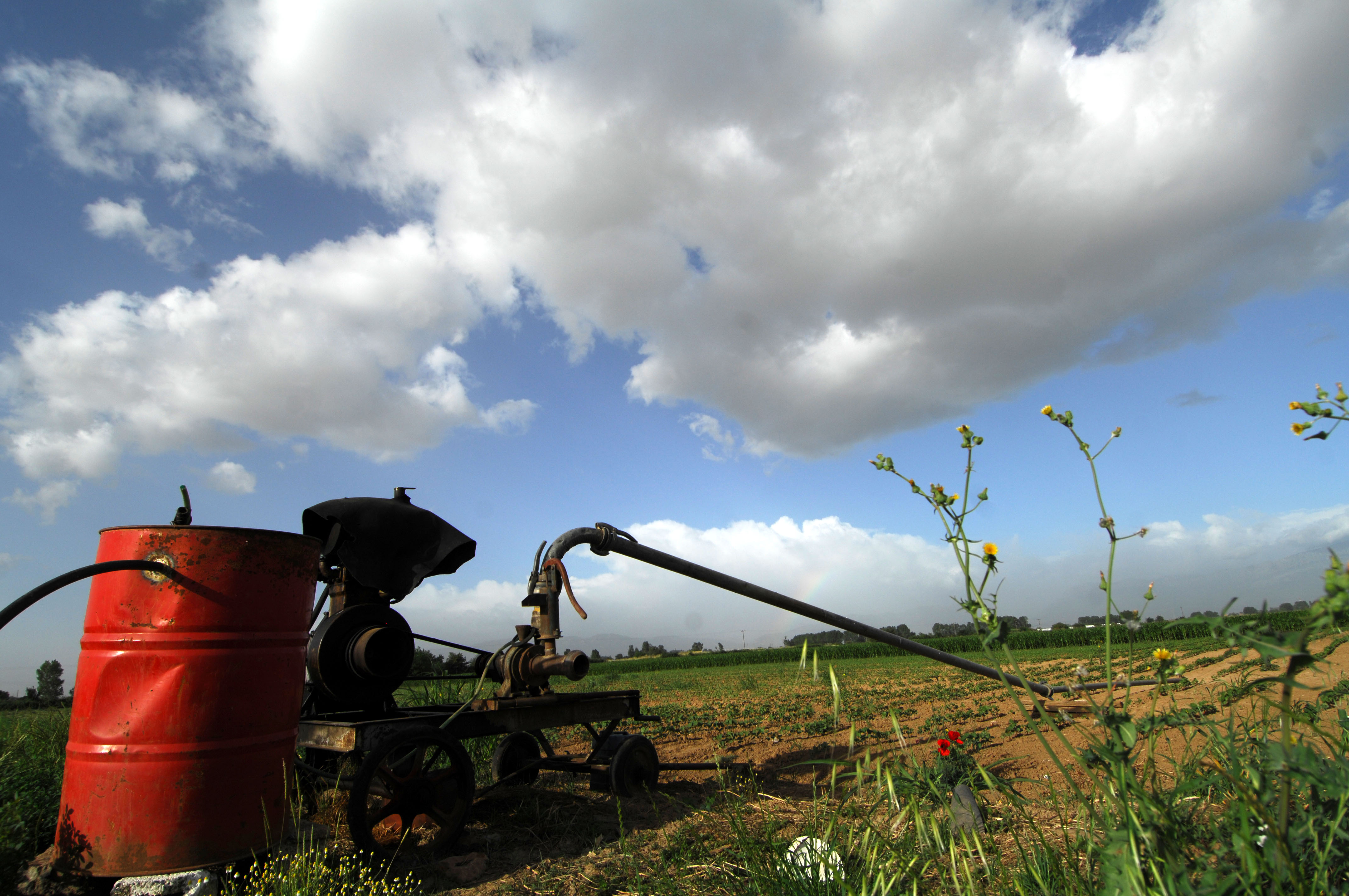 Συνεχίζεται η άνοδος των αγροτικών εξαγωγών και το 2013