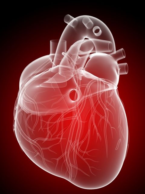 Φάρμακο μειώνει τις βλάβες μετά από έμφραγμα