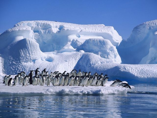 H ηλικία του οικοσυστήματος της Ανταρκτικής
