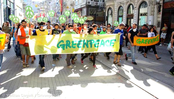 Greenpeace: η τουρκική κυβέρνηση καταστρέφει τα δάση | tovima.gr