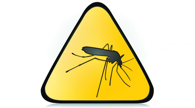 Ελονοσία: ο εφιάλτης επιστρέφει; | tovima.gr